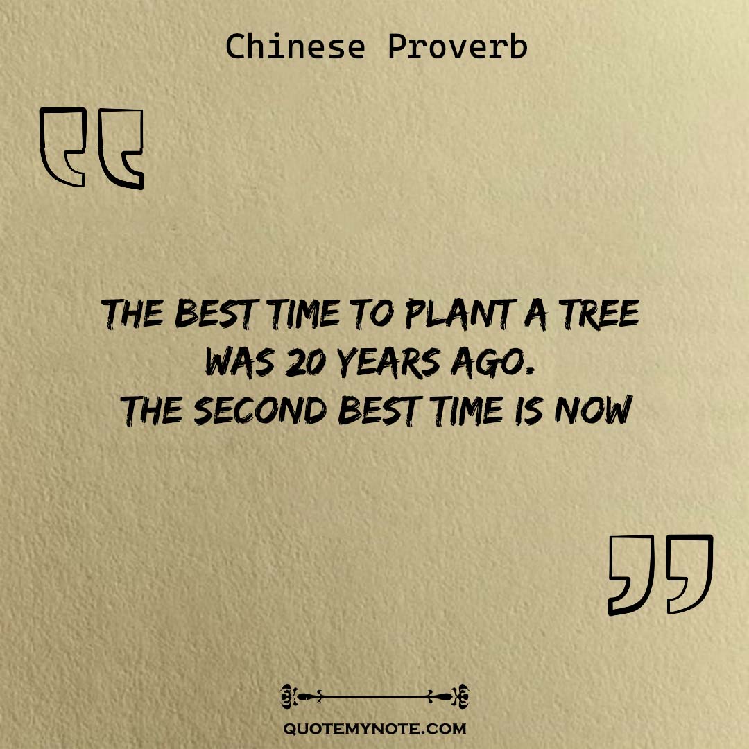 chinese-proverb-quote